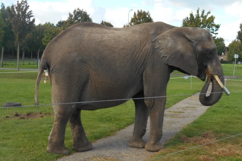 dscn30361 e1443537496974