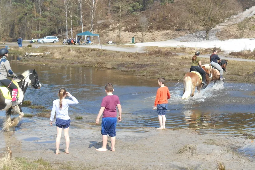 dscn3578 e1460302644169