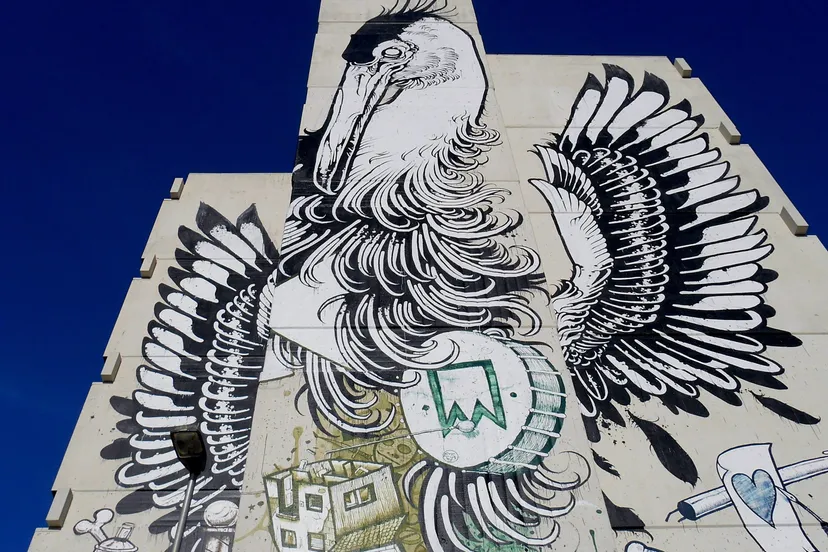 dscn4683 e1477855898177