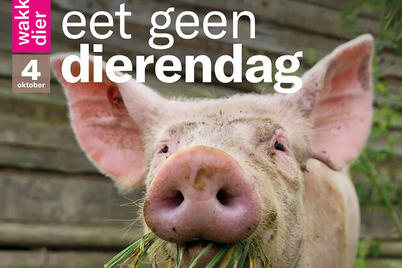 eet geen dierendag persbericht 1080x10801 e1538589045291