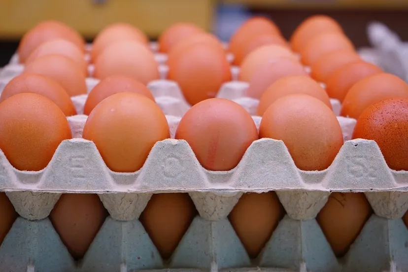 eieren code nvwa e1501528350139