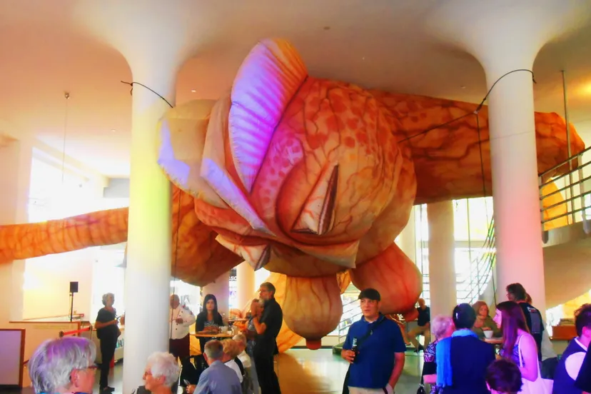 fscn22531 e1435395508978