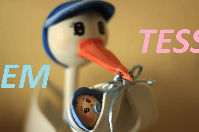 geboorte ooievaar sem tess