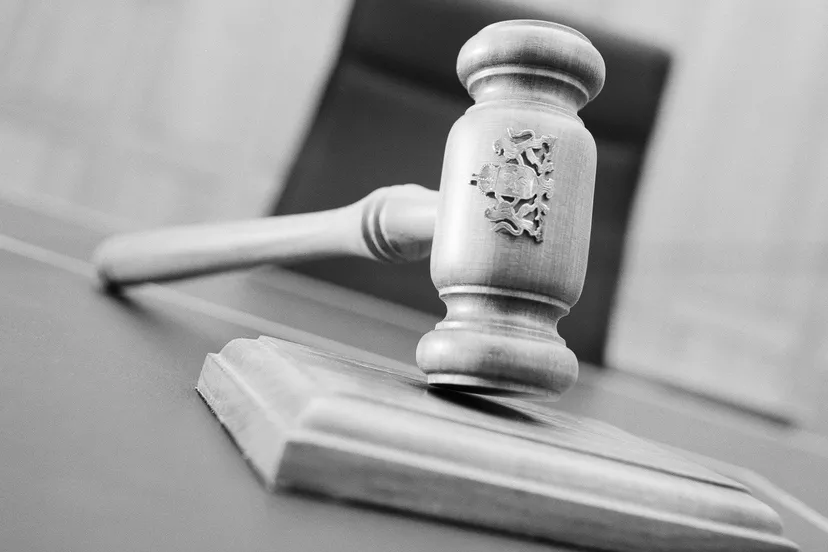 hamer rechtbank e1431462475438