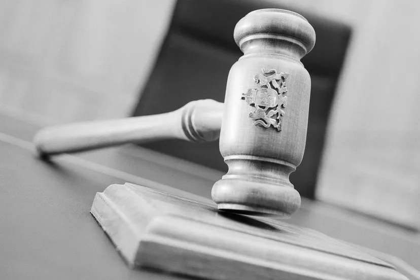 hamer rechtbank e1460749226657