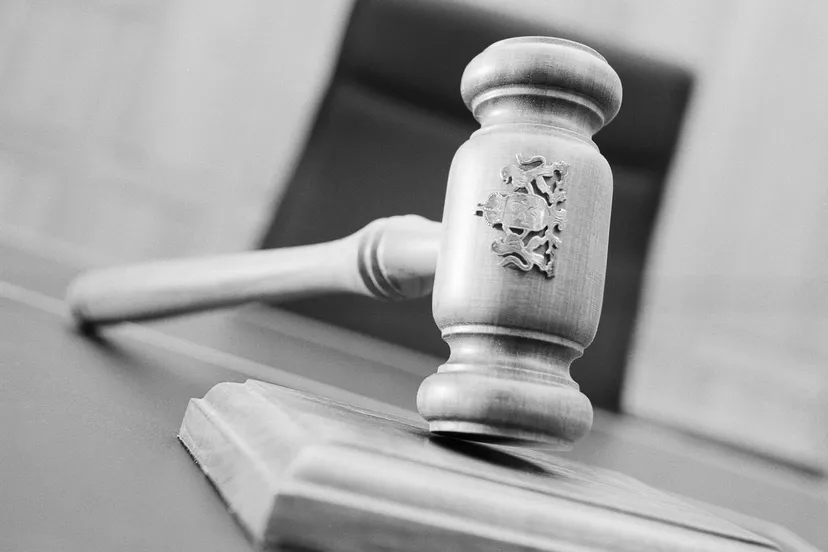 hamer rechtbank e1621540136368