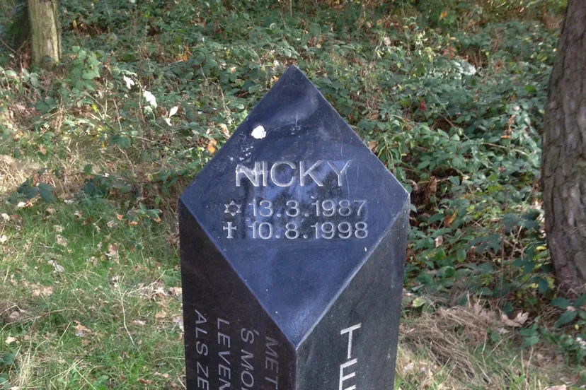 herdenkingsmonument nicky verstappen e1495630703585