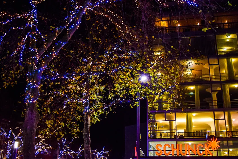 hms sfeerverlichting