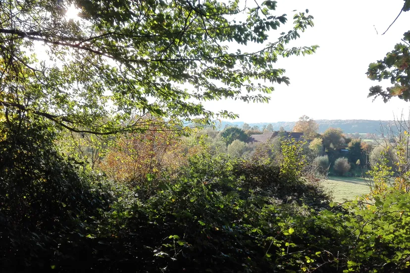 img 20151027 151338 burst001 cover