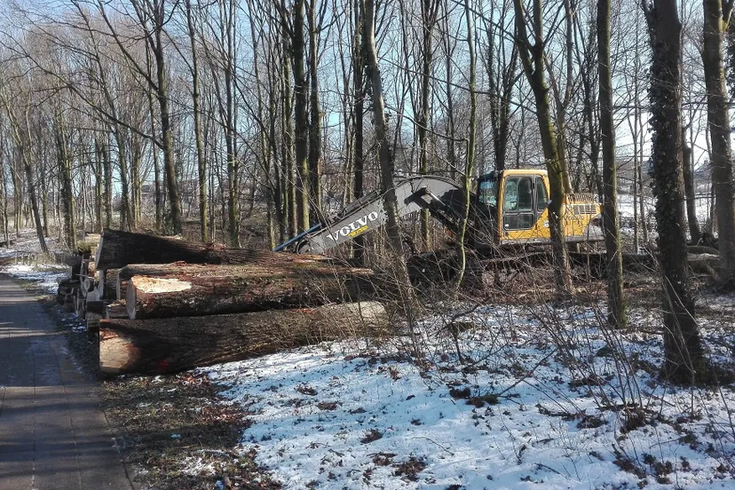 img 20160216 121458 e1455631828341