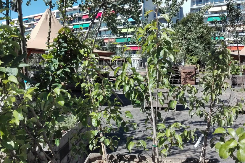 img 20160824 122454 e1477399911703