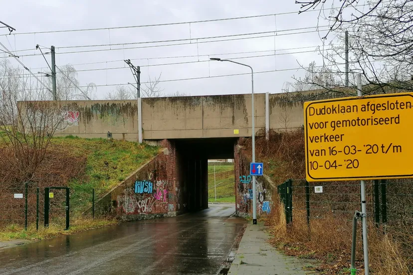 img 20200305 152706 resized 20200313 073339156