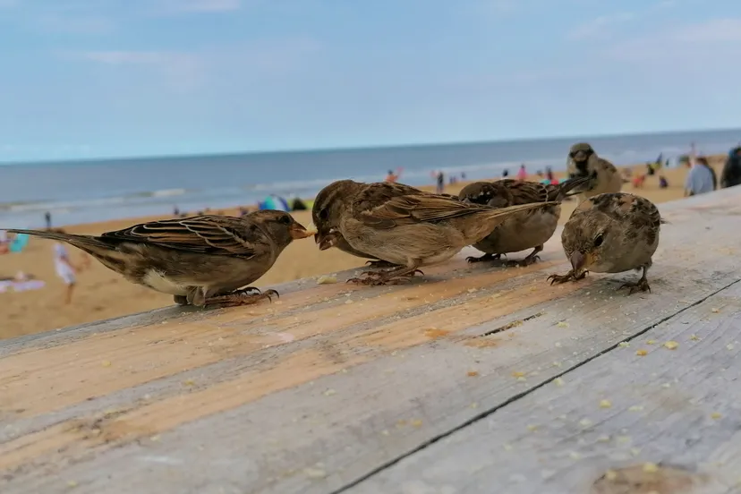 img 20200902 153925 2