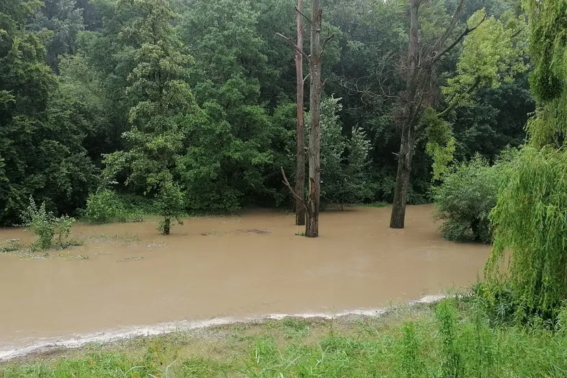 img 20210714 155111 1280x720 1