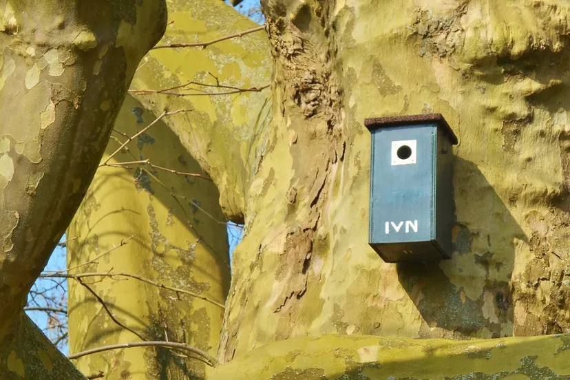 ivn heerlen 1 1280x719