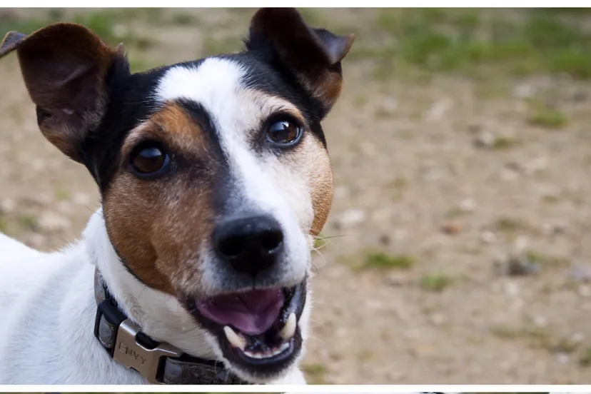 jaimy e1432220823603