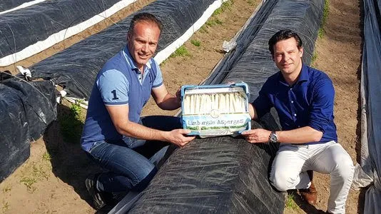 label limburgse asperges e1491231250849