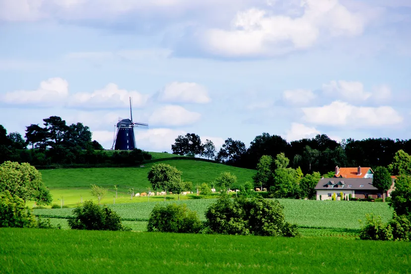 lentewandeltocht ubachsberg vrouwenheide b 6