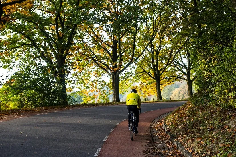 limburg0883 lr e1544190505709