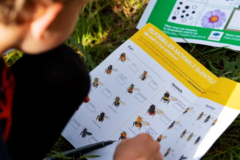 md naturalis nederland zoemt 016