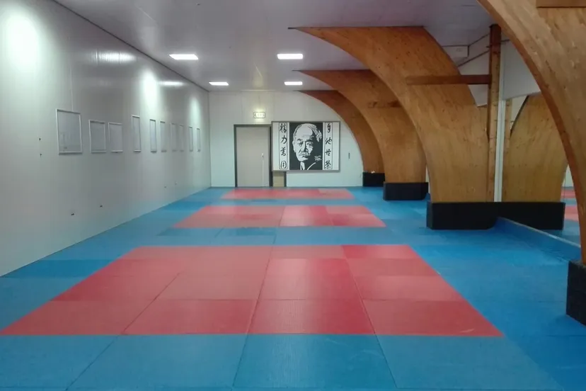 nippon sport dojo e1472498377932