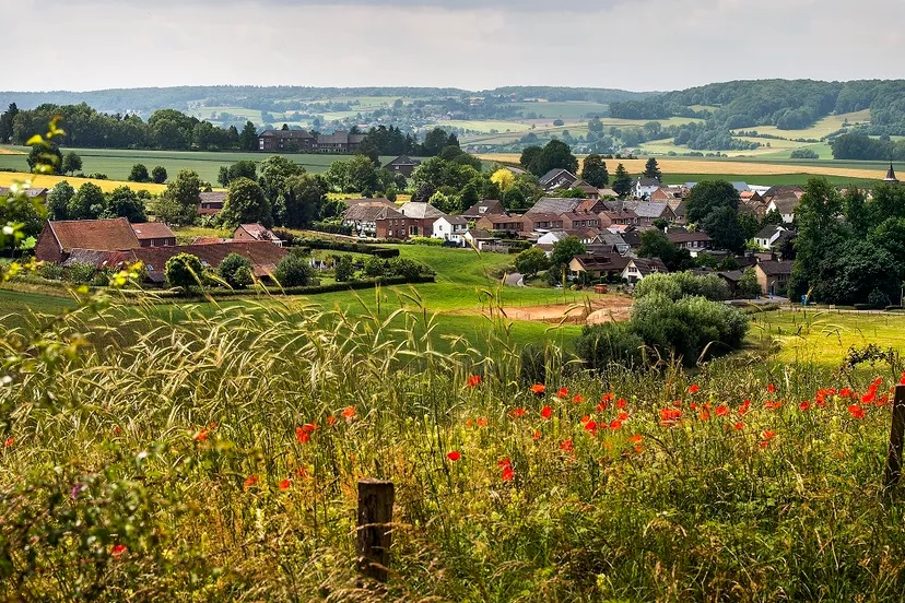 omgeving dorpen wahlwiller lr