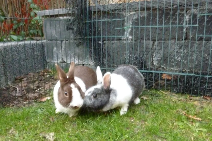 p1110310 e1429099546637