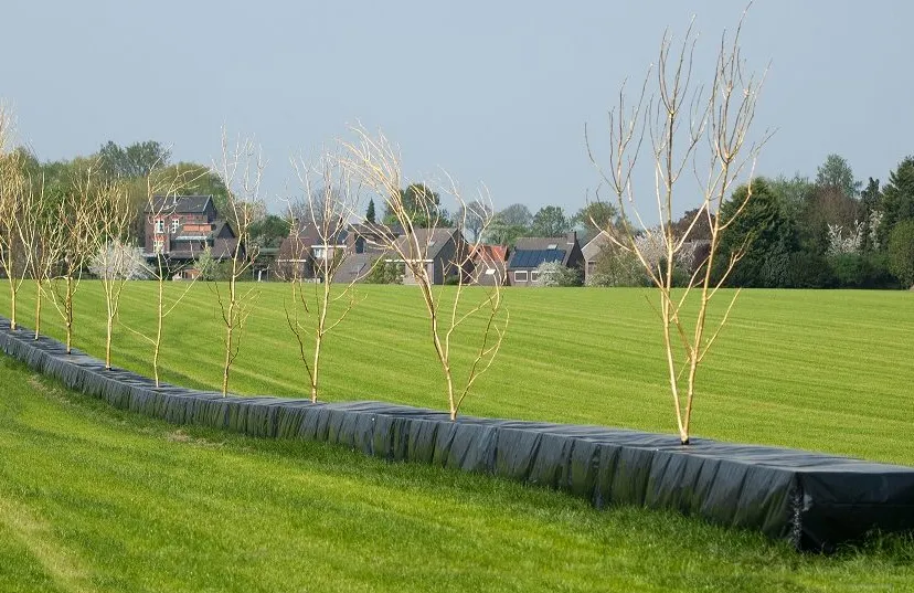 projectwanderslr e1525182432386