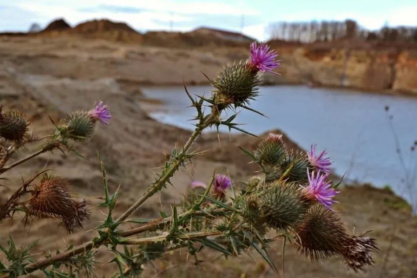 sfeerbeeld zandgroeve pxhere creative commons cc0 2