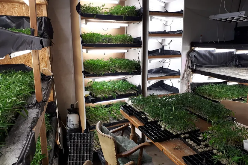 stekkenplantage hoensbroek