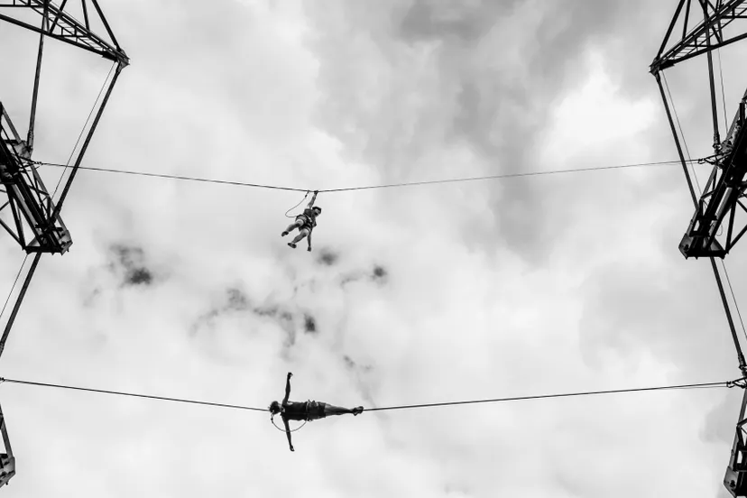 tom peek lepyruvate 0420 e1486311720568