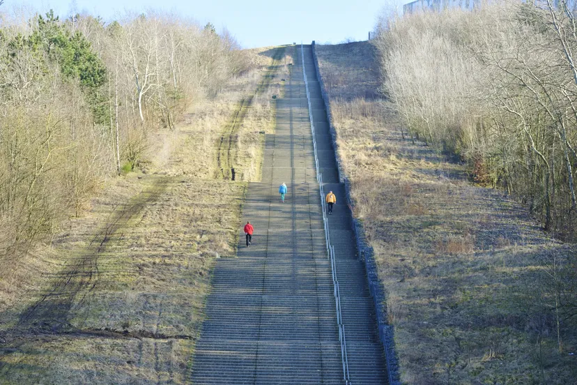 trappen wilhelminaberg archiefopname