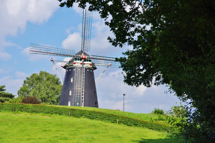 vrouwenheide wim koops