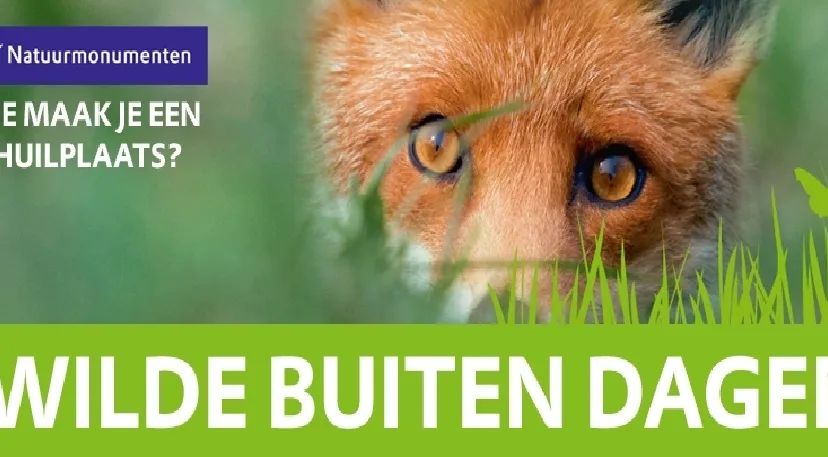 wilde buitendagen e1429258870342