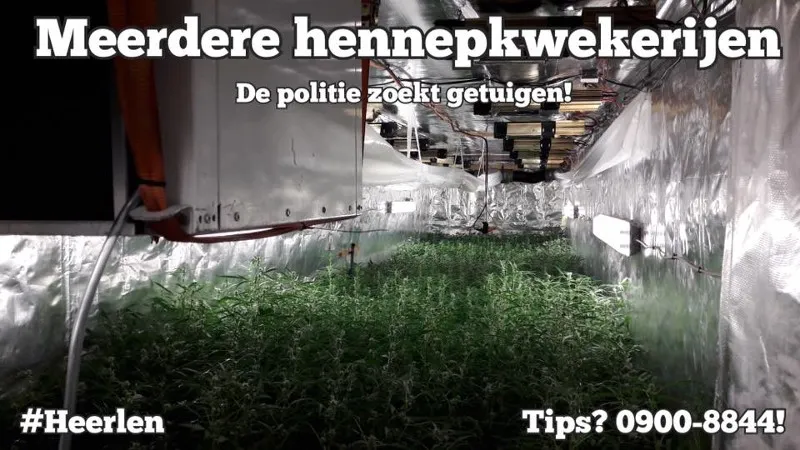 zeecontainers met hennep