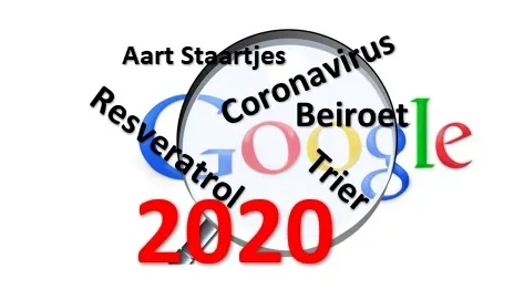 zoekopdrachten google 2020