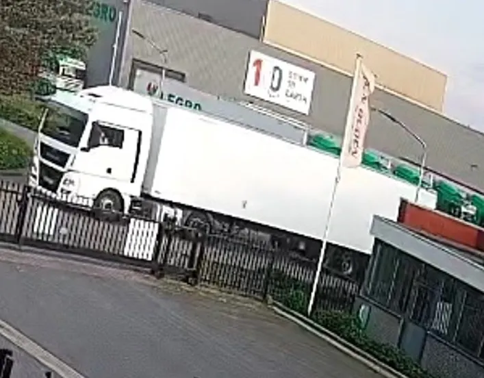 witte vw met witte trailer