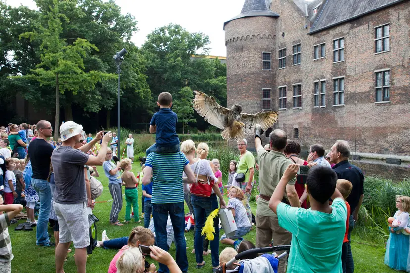 150819-8434 Roofvogelshow Kasteel Helmond