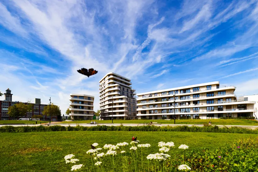230904 4026 burgemeester Geukerspark in bloei