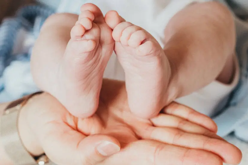 pexels nicu cobasnean 860727842 19606042
