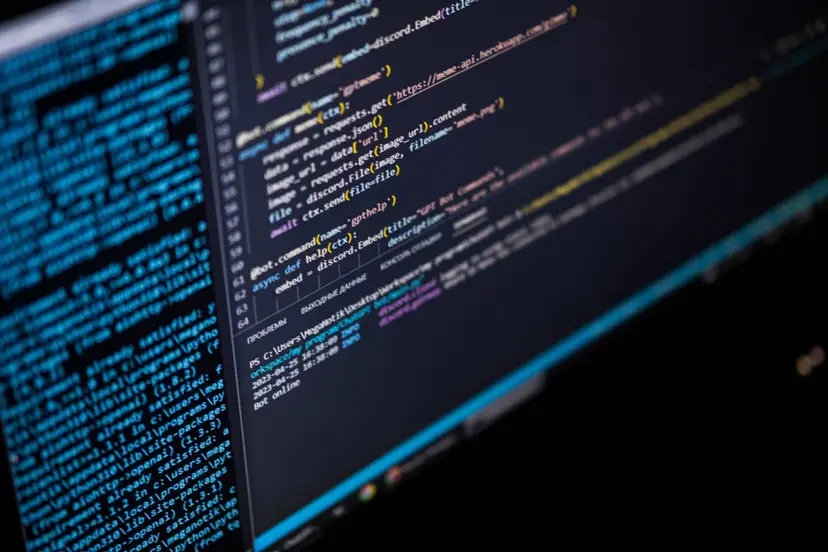 pexels sash2s 16592498