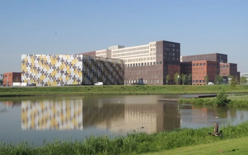 00 jbz divers 2 915x518