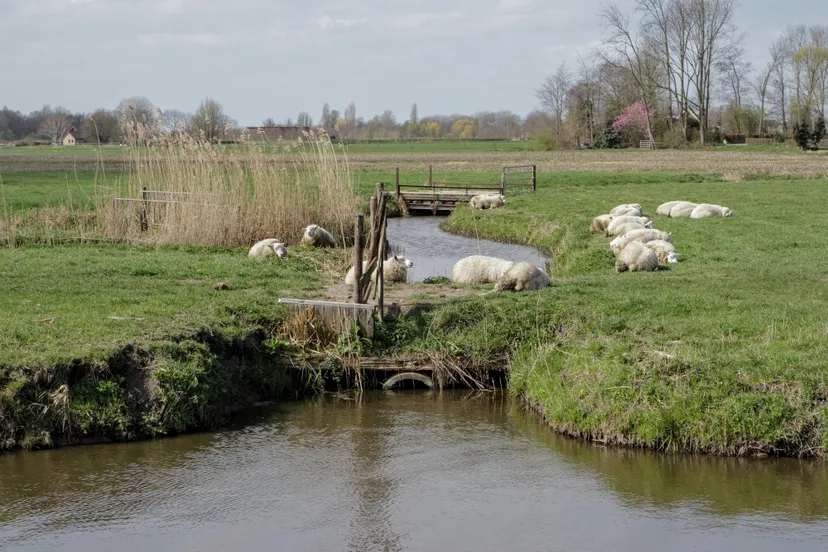 001 marjolein spreekwoord