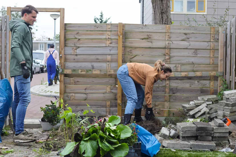 06 nk tegelwippen randy da costa