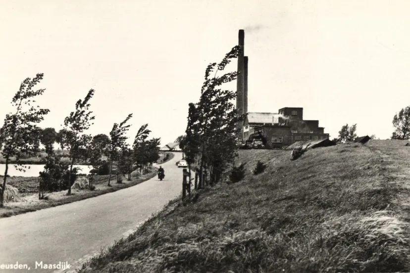 1 de maasdijk bij heusden foto beeldbank salha