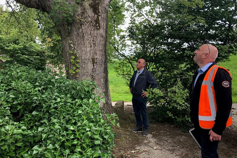 110315108 3128161637261386 1146167730832511249 o