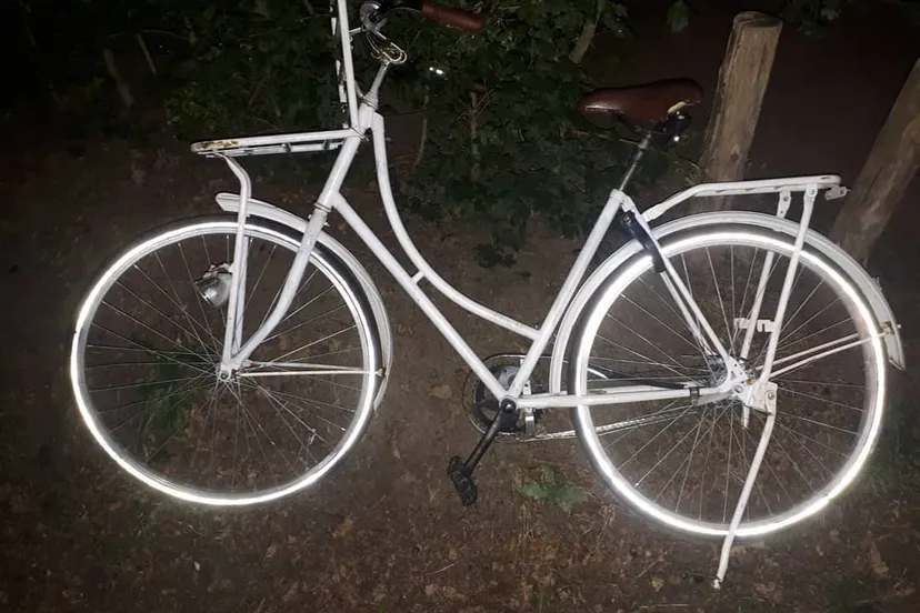 115909450 2652970271610884 3138405662434958381 o