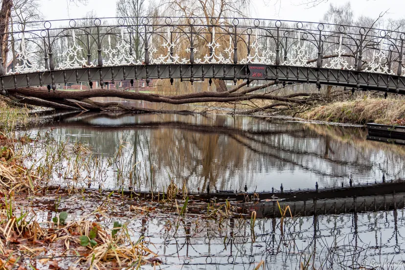 117 nieuwkuijk roy 20181012