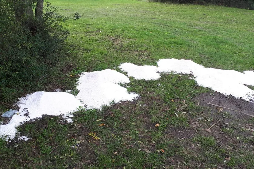 121660518 3382020908542123 726516816640738429 o