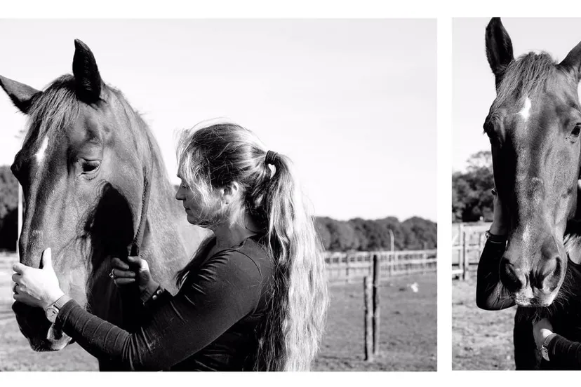 125 jarig bestaan maaikes adventure stallen